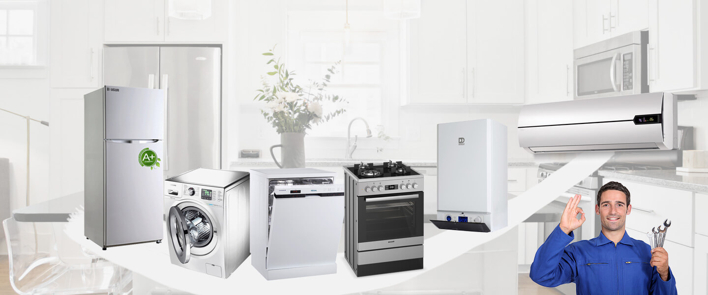 Germencik Electrolux Servisi